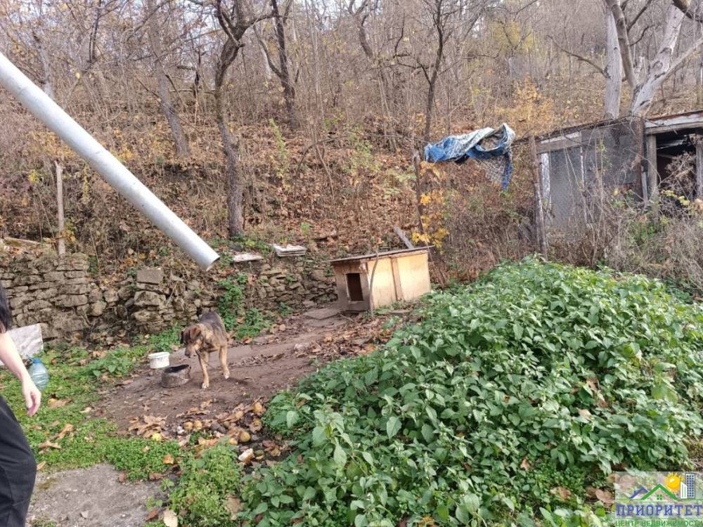 whatsapp image 2025-11-13 at 16.01.34