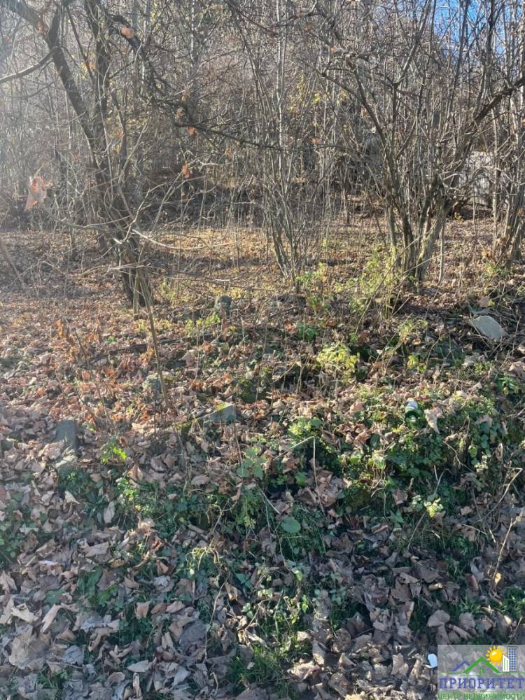 whatsapp image 2025-12-04 at 11.03.39