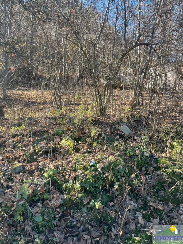 whatsapp image 2025-12-04 at 11.03.42