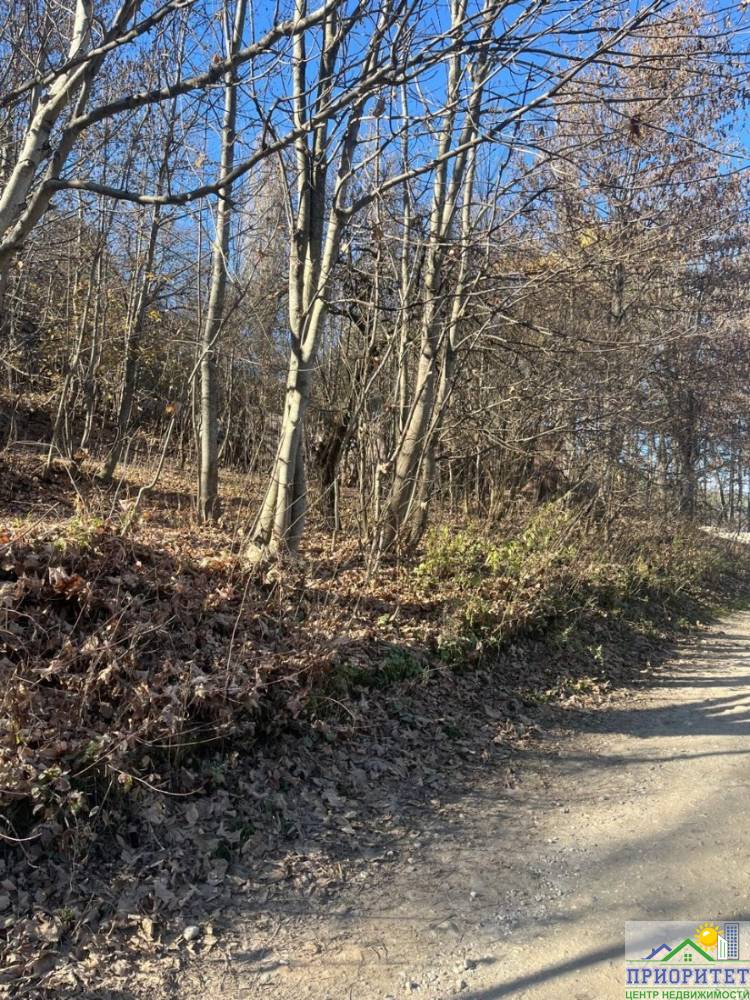 whatsapp image 2025-12-04 at 11.03.35