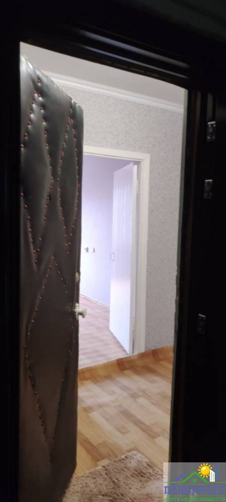 photo_1_2025-12-16_16-59-42