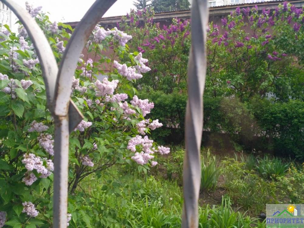 photo_5460824722871357287_y