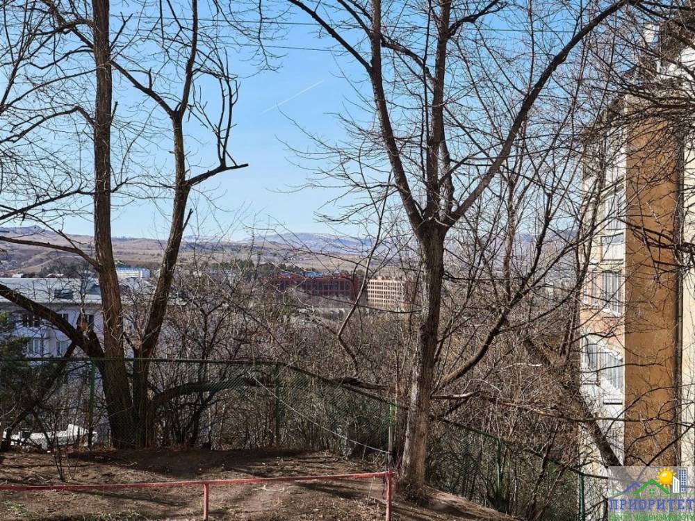 photo_5192783398840241668_y