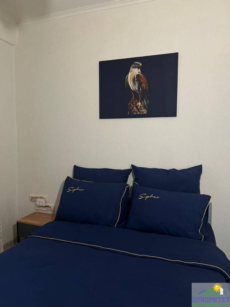 photo_5194921193042021522_y