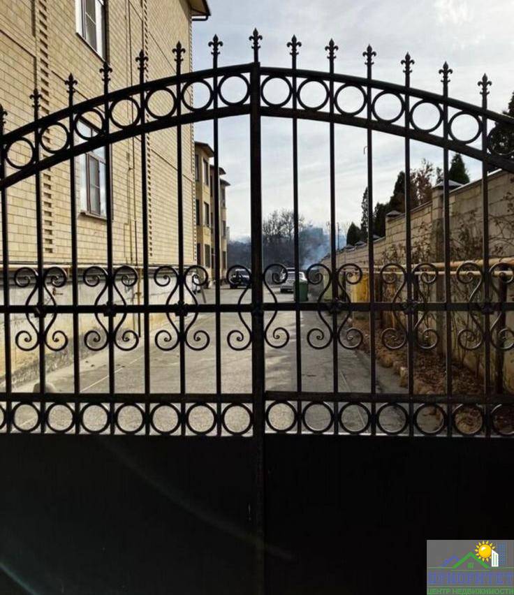 photo_5192902502578327315_y