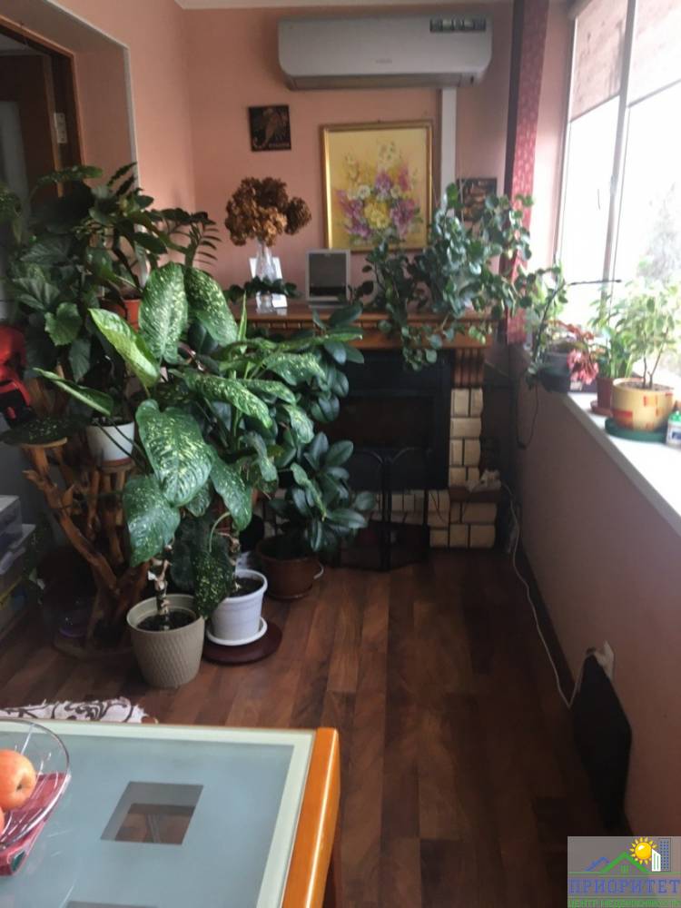 photo_5195377726590750035_y