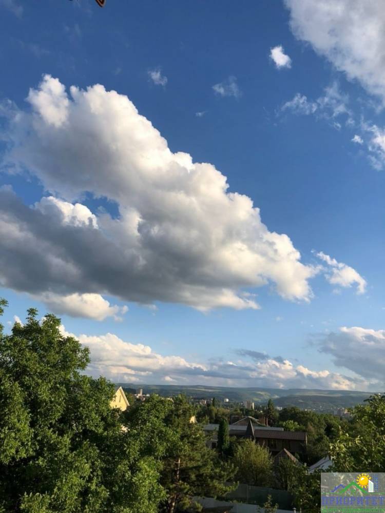 photo_5201849250168377008_y