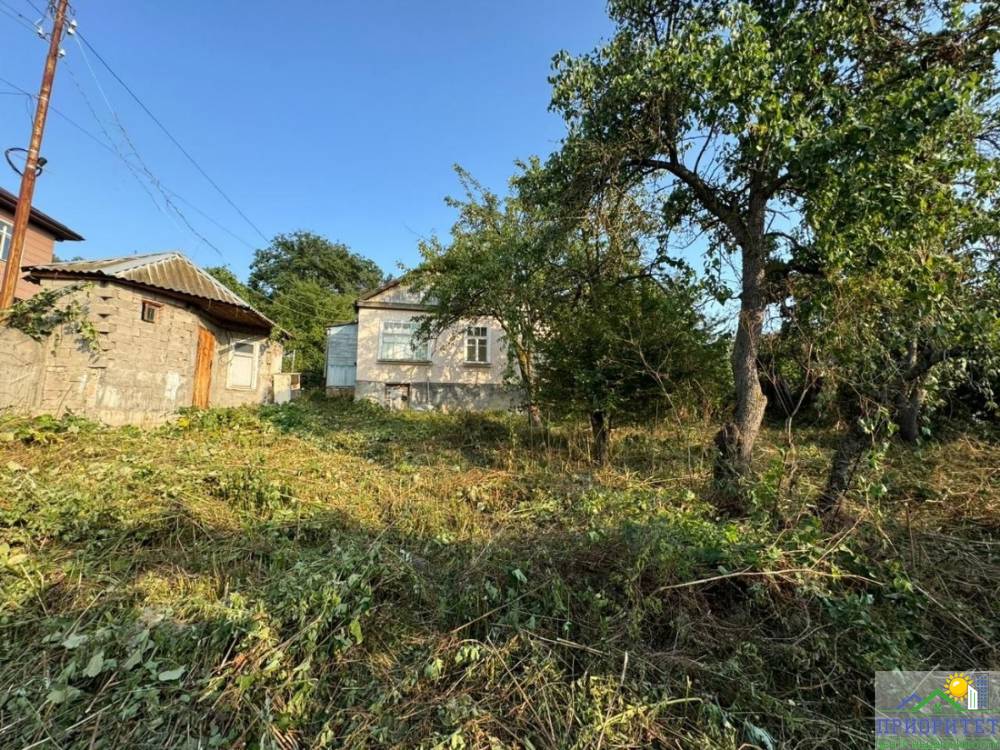 photo_5220134622459532431_y