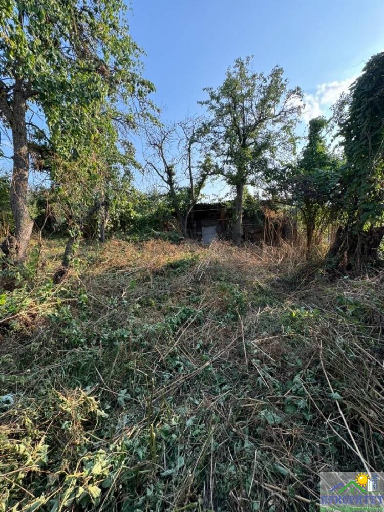 photo_5220134622459532432_y