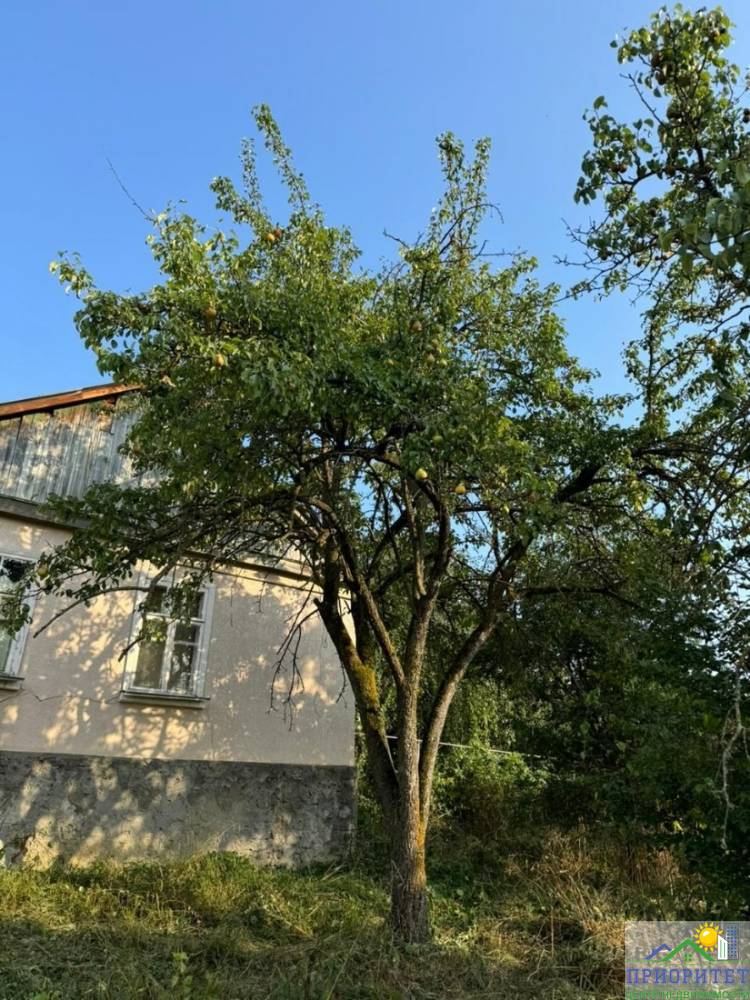 photo_5220134622459532442_y