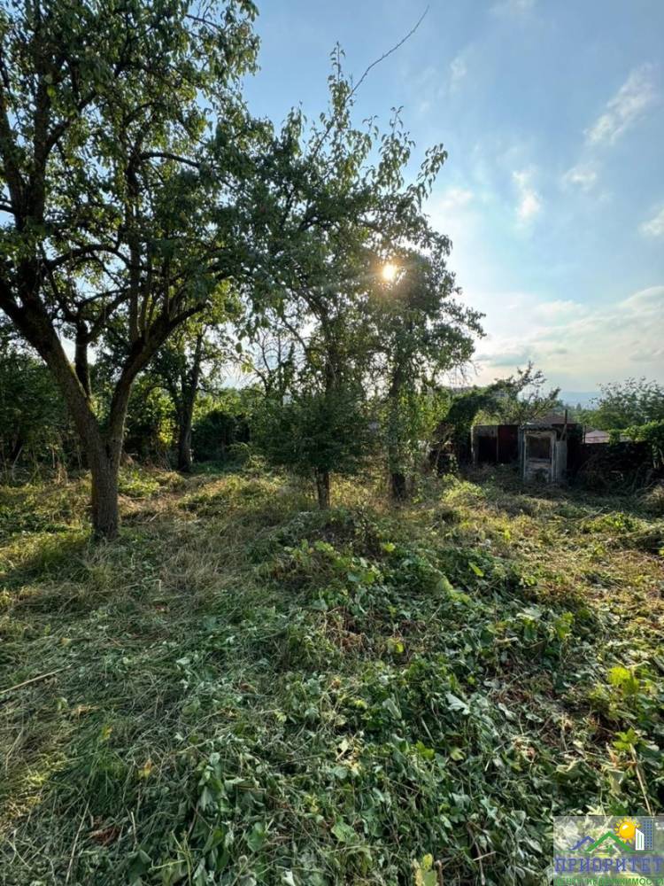 photo_5220134622459532445_y