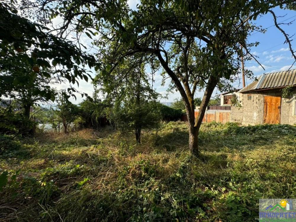 photo_5220134622459532433_y