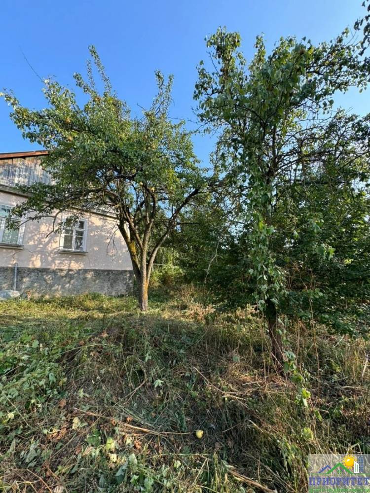 photo_5220134622459532434_y