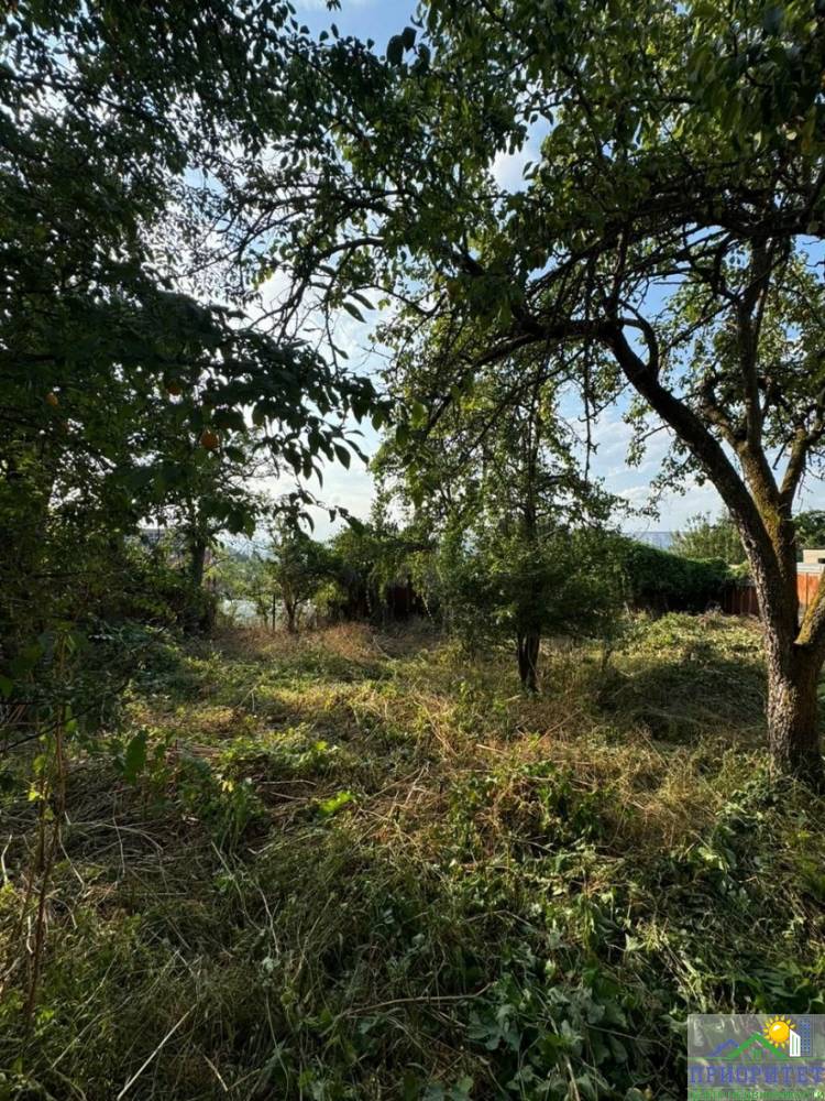 photo_5220134622459532435_y