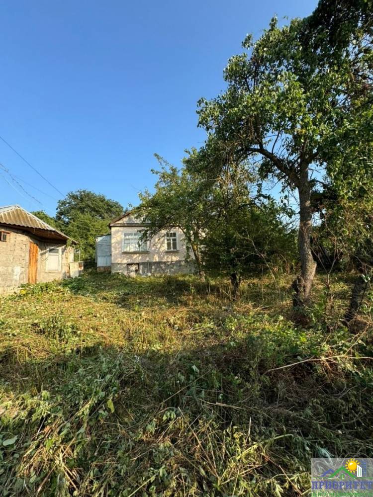 photo_5220134622459532436_y