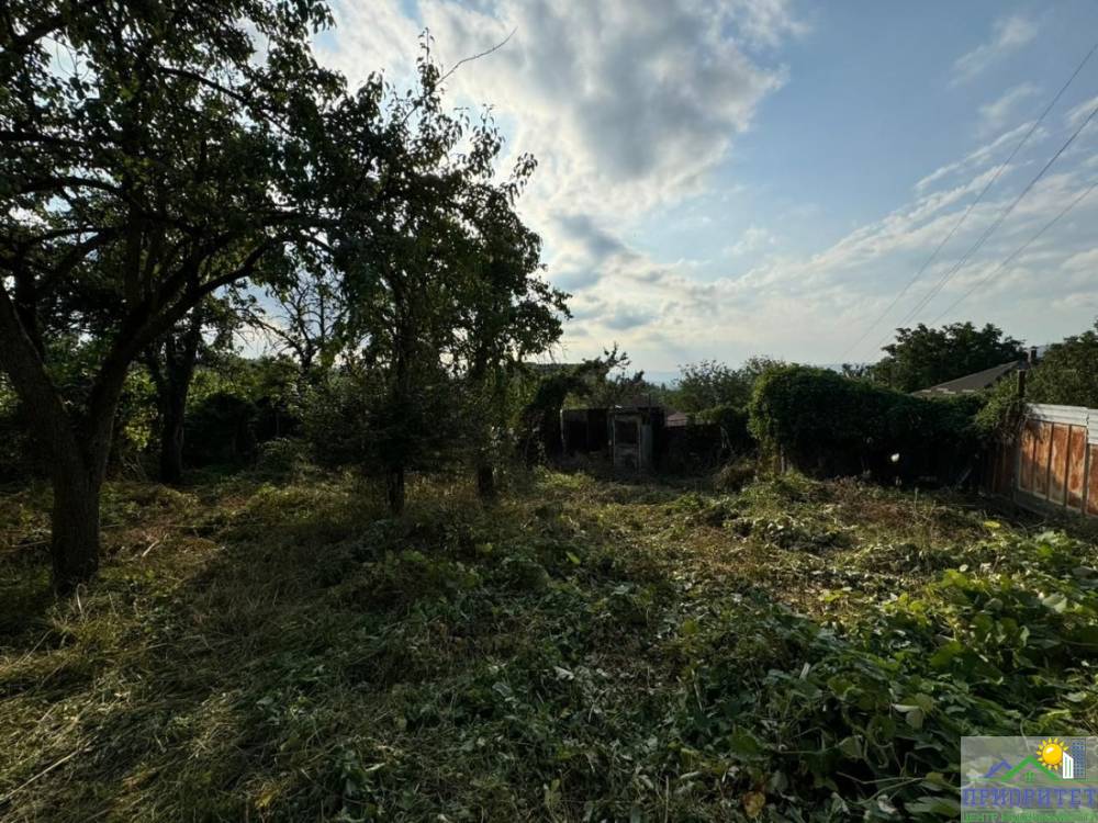 photo_5220134622459532437_y