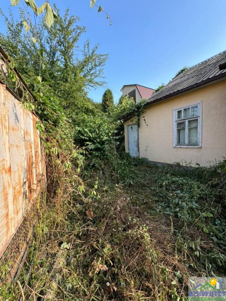 photo_5220134622459532438_y