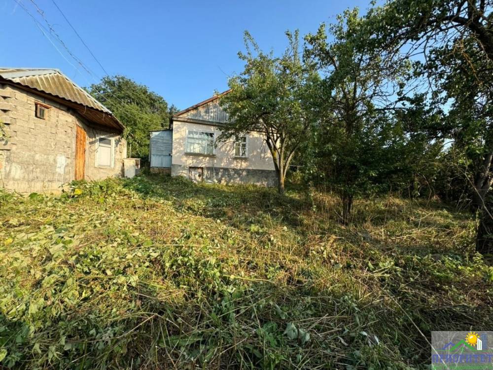 photo_5220134622459532439_y