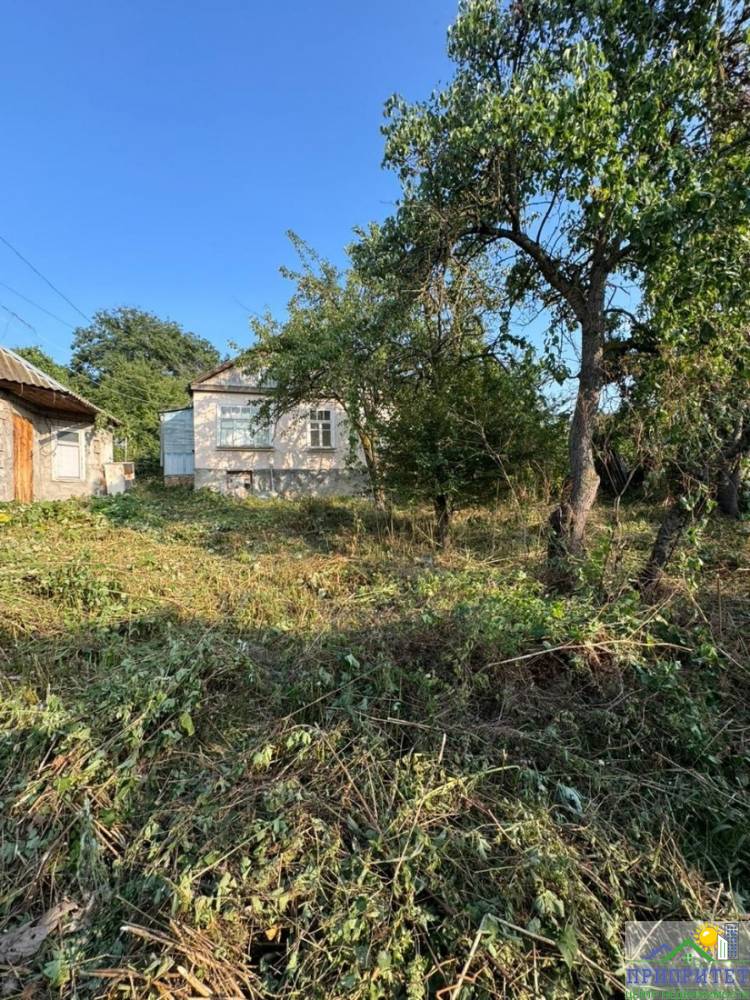 photo_5220134622459532441_y