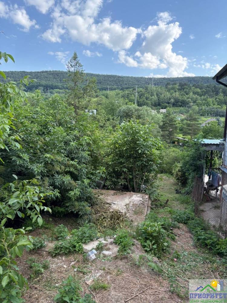 photo_5217937982910830067_y