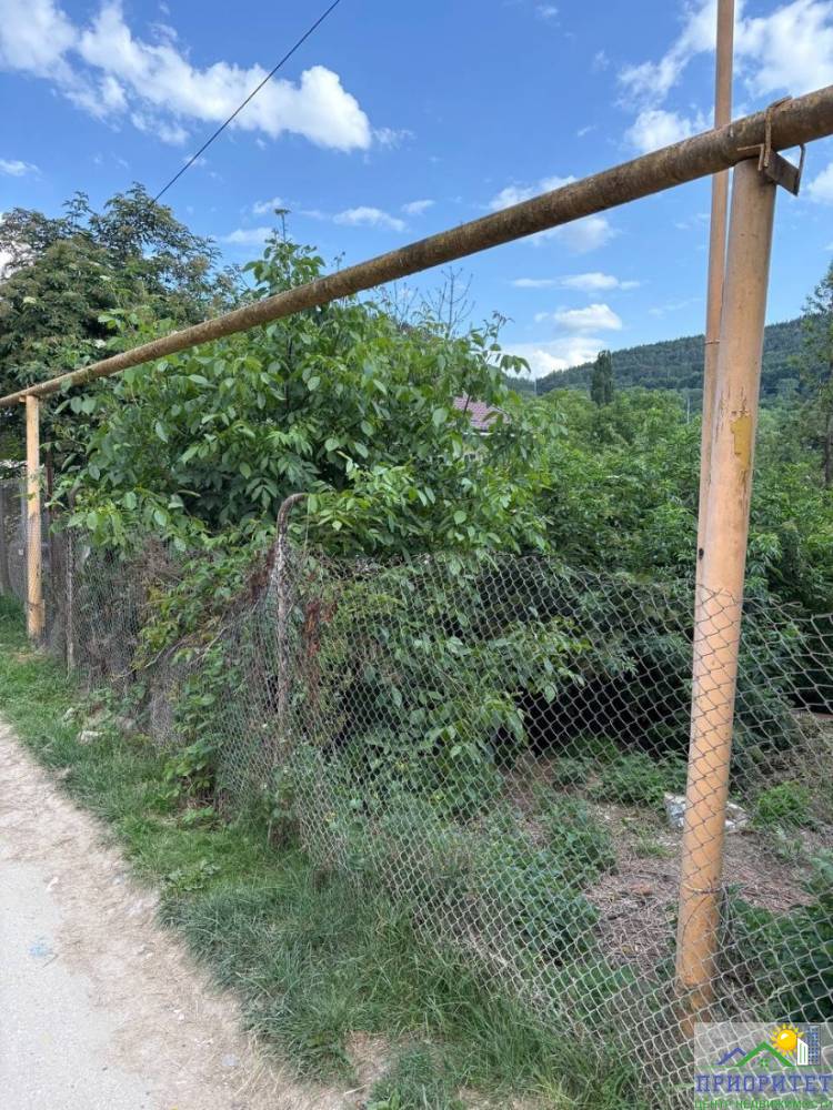 photo_5217937982910830069_y