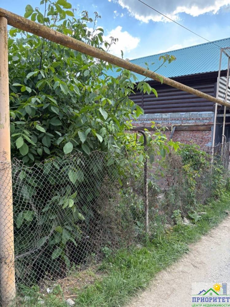 photo_5217937982910830070_y