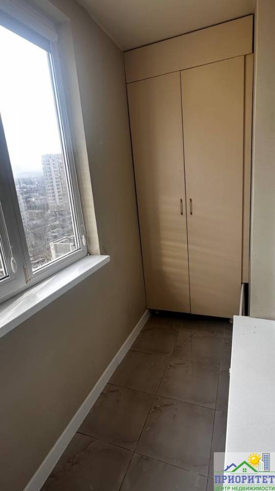 photo_5220022102906311448_y