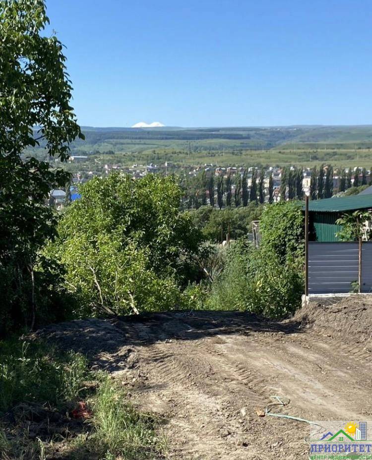 photo_5220022120086180244_y