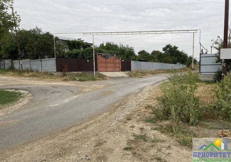 photo_5220022120086180243_x