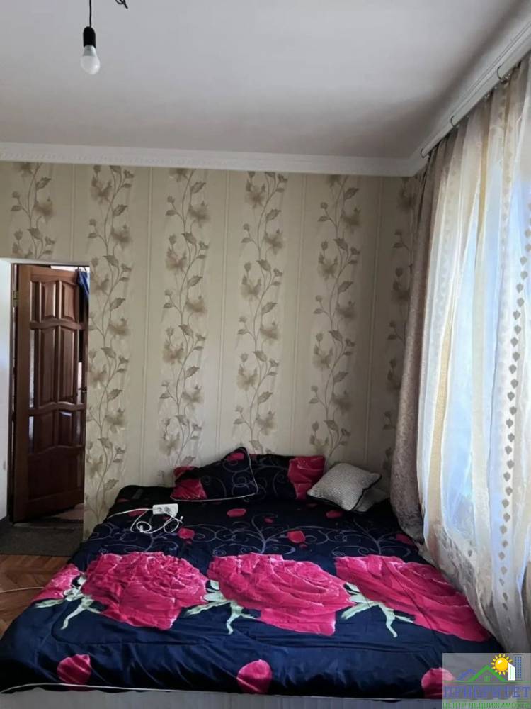 photo_5222401570622869856_y