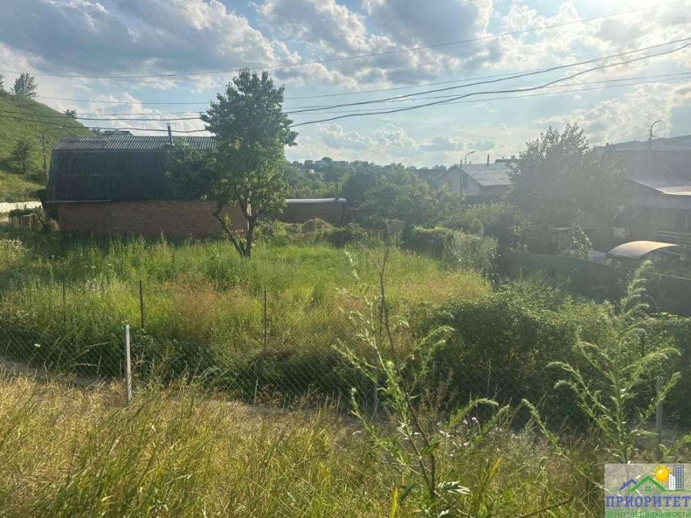 photo_5222401570622870082_y