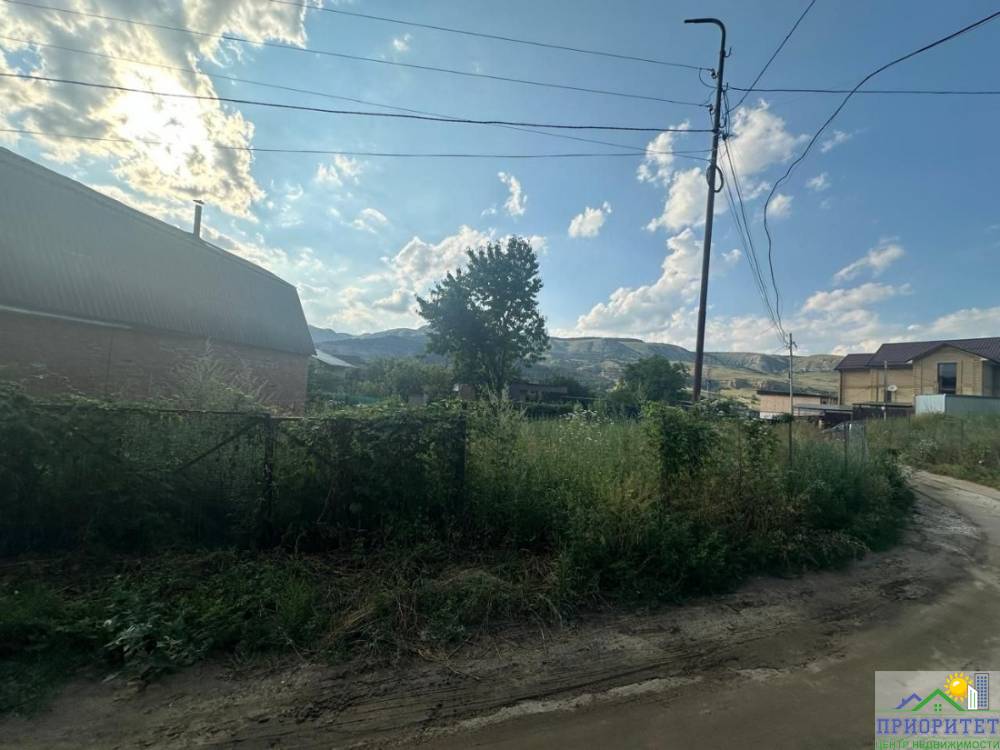 photo_5222401570622870084_y