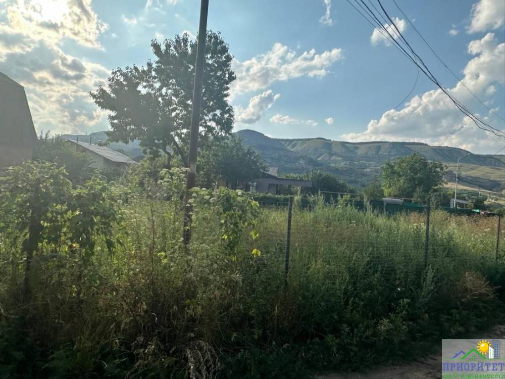 photo_5222401570622870085_y