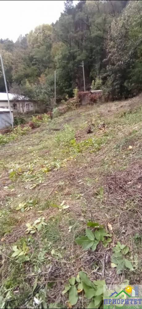 photo_5222137979889980595_y