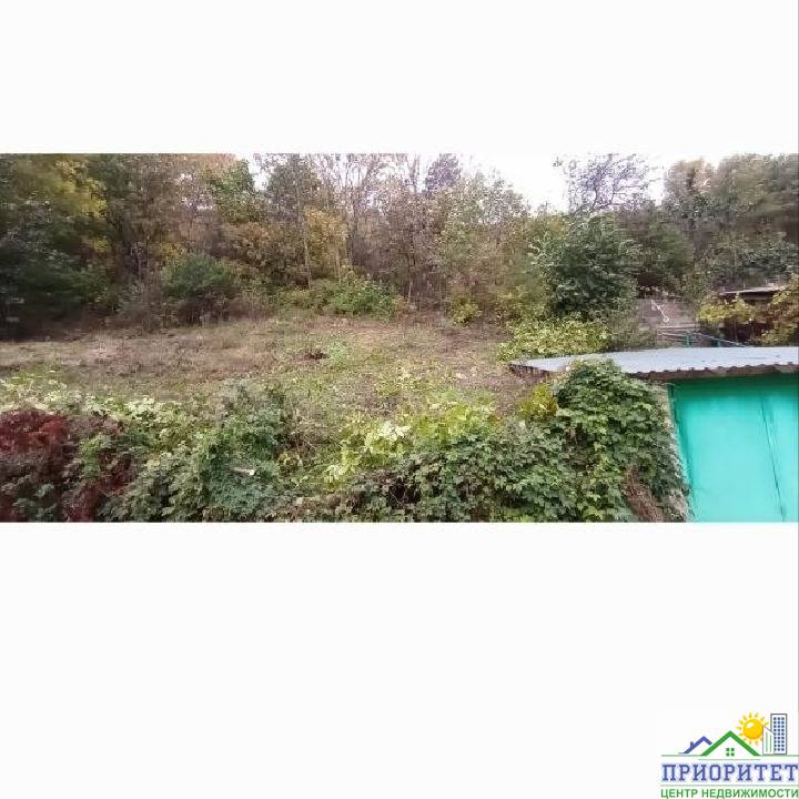 img_1770987290155 (1)