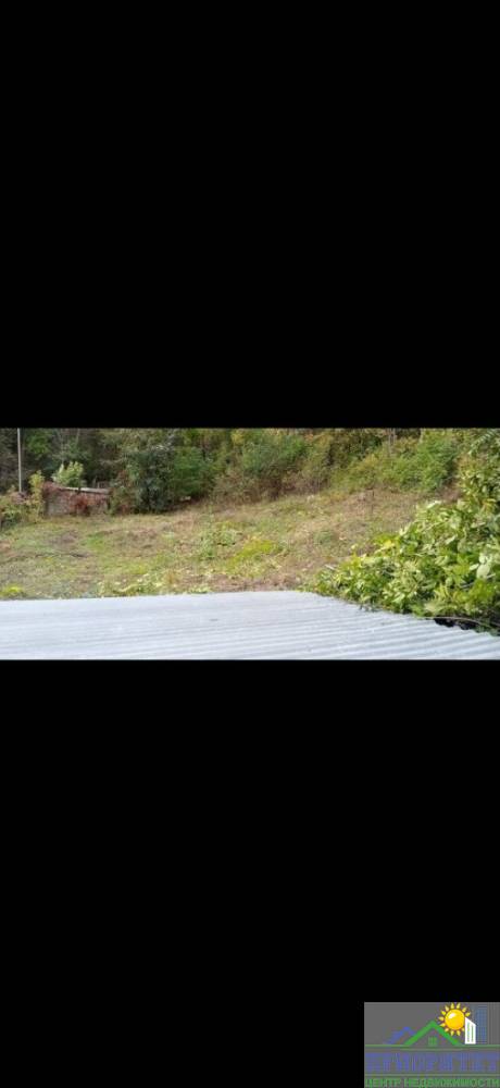 photo_5222137979889980593_y