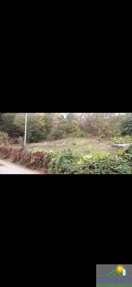 photo_5222137979889980596_y