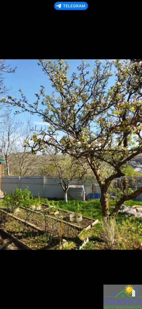 photo_5222031138283526403_y