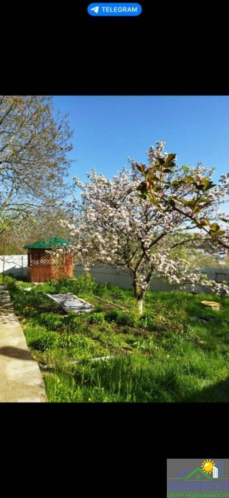 photo_5222031138283526406_y