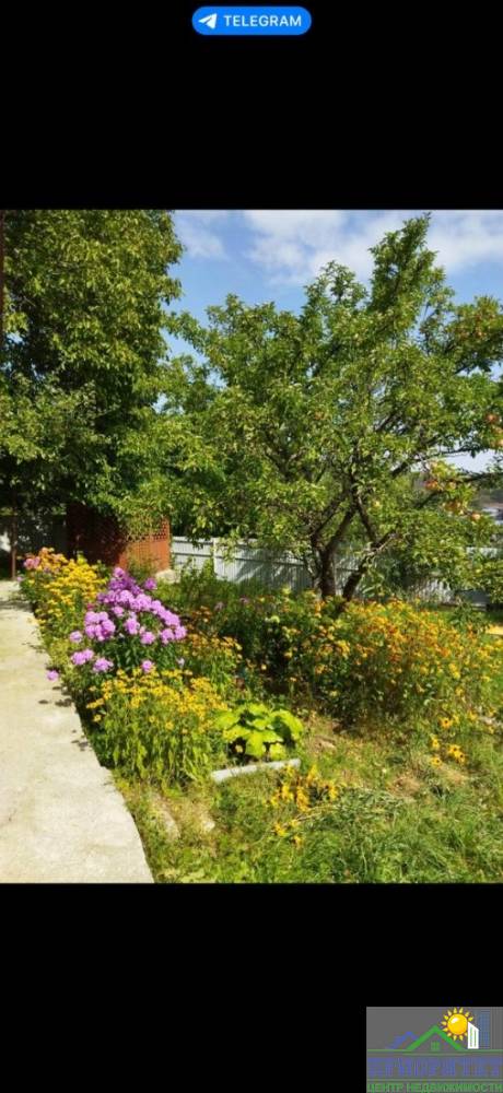 photo_5222031138283526410_y