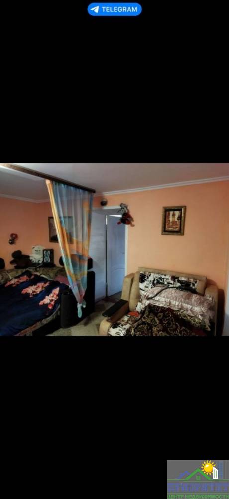 photo_5222031138283526404_y