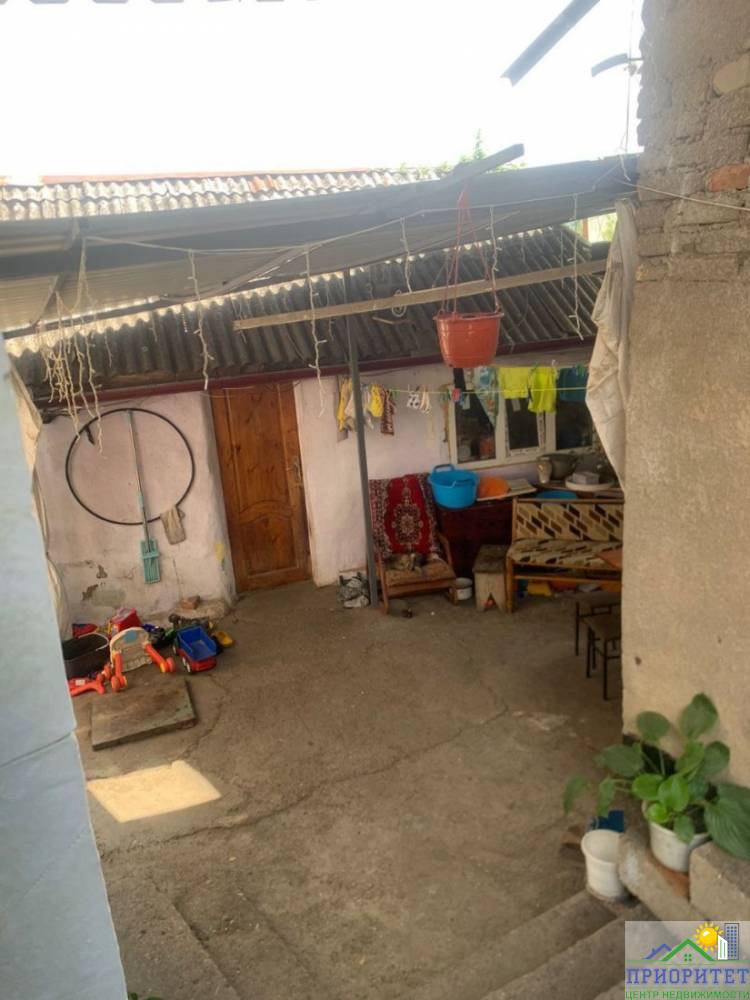 photo_5231205901392352346_y