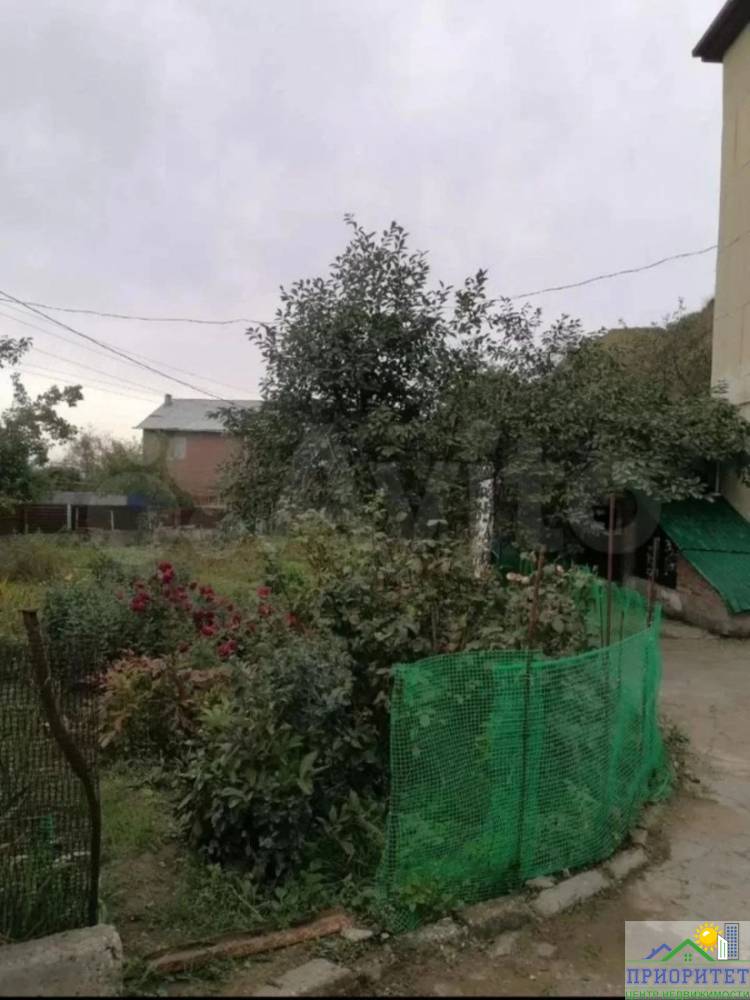 photo_5233566793375355253_y