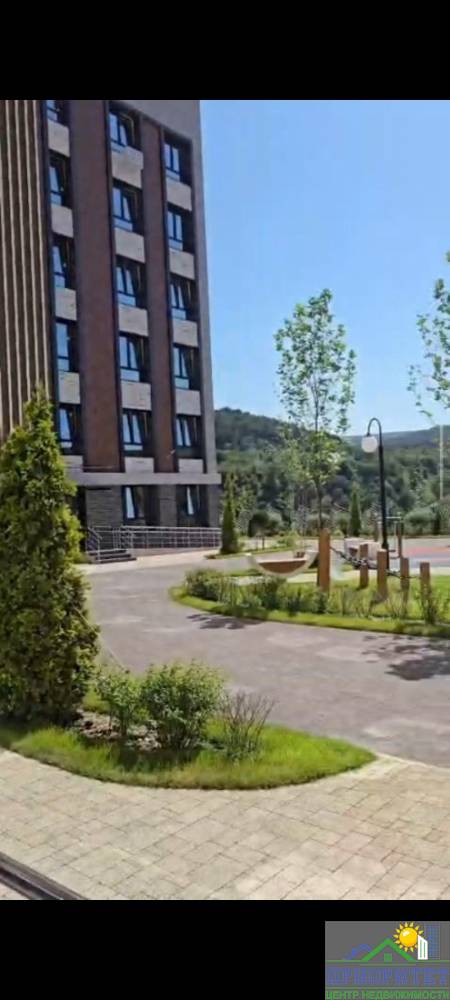 photo_5235657119598580719_y