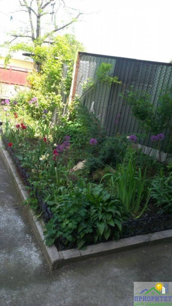 photo_5237919553751290875_y