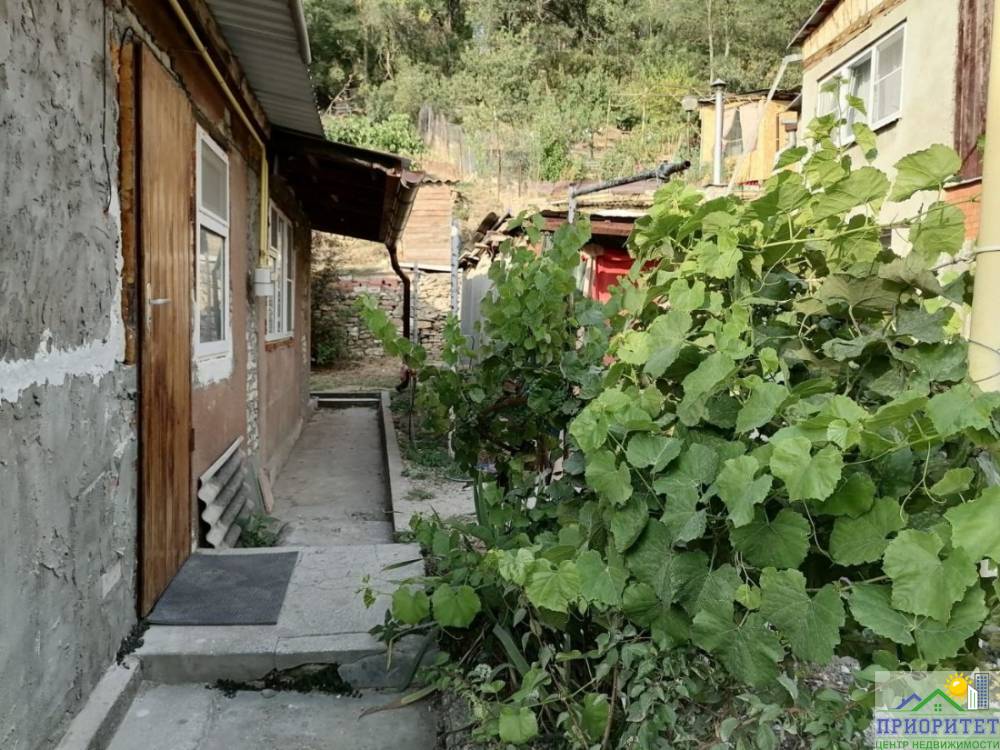 photo_5239985566164653073_y