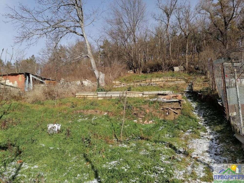 photo_5239985566164653071_y