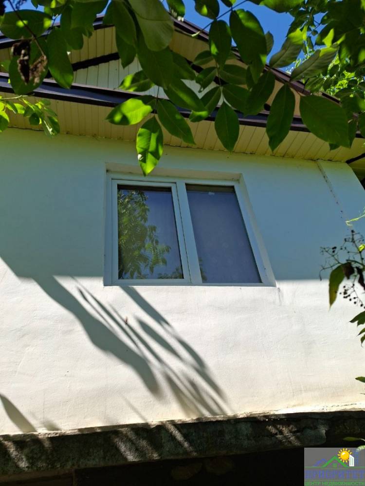 photo_5244744093575878473_y