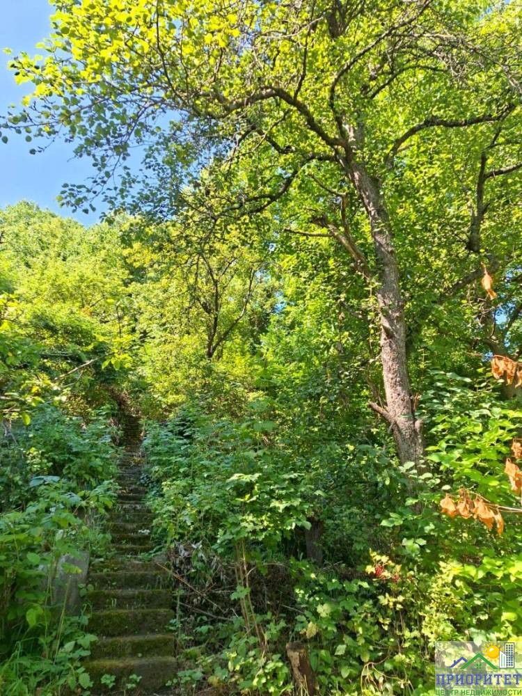 photo_5244744093575878470_y