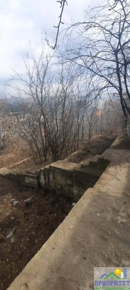 photo_5244930907473385137_y